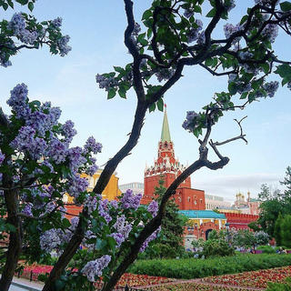 Tour to Moscow. «Moscow holidays»
